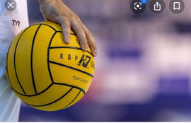 Are you a Polo Head? The world's first water polo specific NFT project demystified